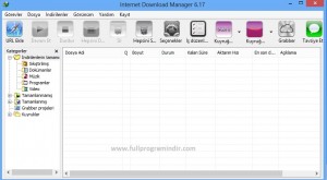 Internet Download Manager